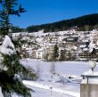 Schonach: Ort im Schnee, 1981