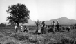 Schwäbische Bauernfamilie bei der Erntearbeit bei Dettingen/ Teck 1939