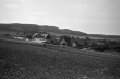 Schopflocher Moor 1937