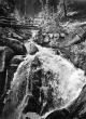 Triberg: Wasserfall 1955