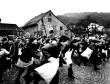Storchentag in Haslach im Kinzigtal um 1965