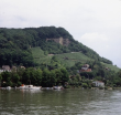 Grenzacher Horn - Hornfelsen mit Rebhang an der Schweizer Grenze 1991