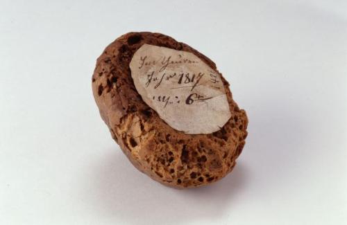 Brot aus dem Hungerjahr 1817 [Quelle: Heimatmuseum Reutlingen]