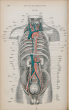 Lehrbuch der practischen Anatomie als Anleitung zu dem Präpariren im Secirsale
